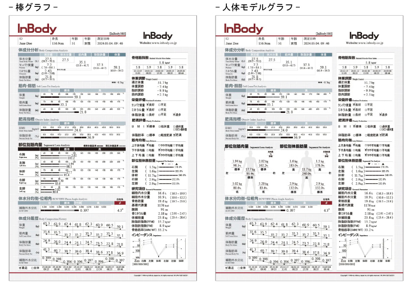 インボディ380の結果用紙（グラフ2通り）