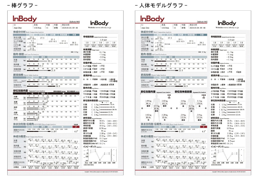 インボディ380の結果用紙（グラフ2通り）