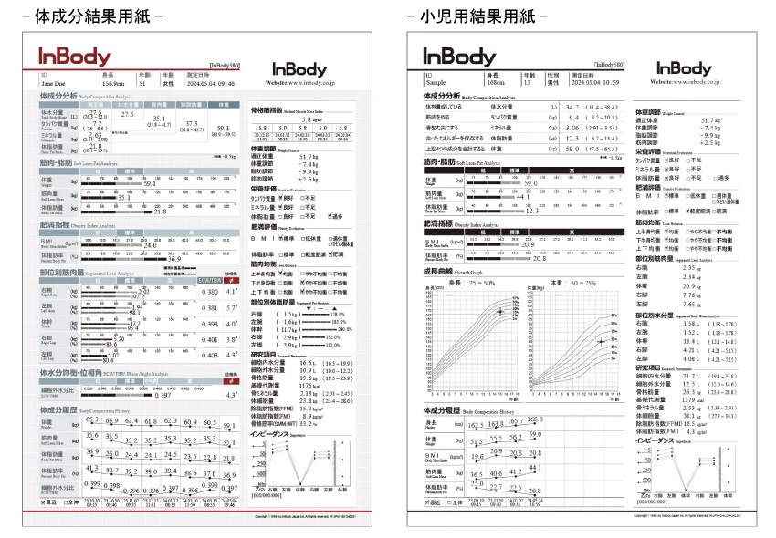 インボディ380の結果用紙（グラフ2通り）