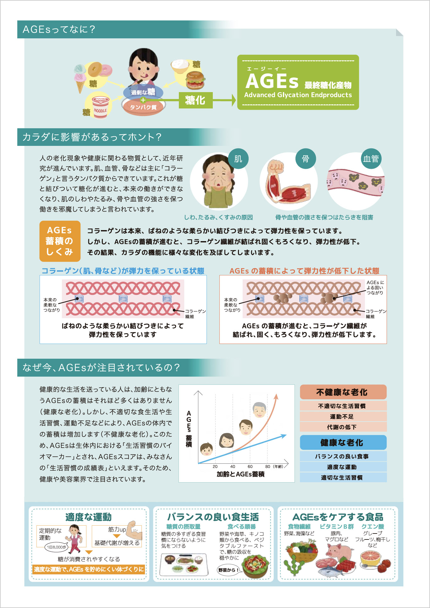 専用帳票裏面